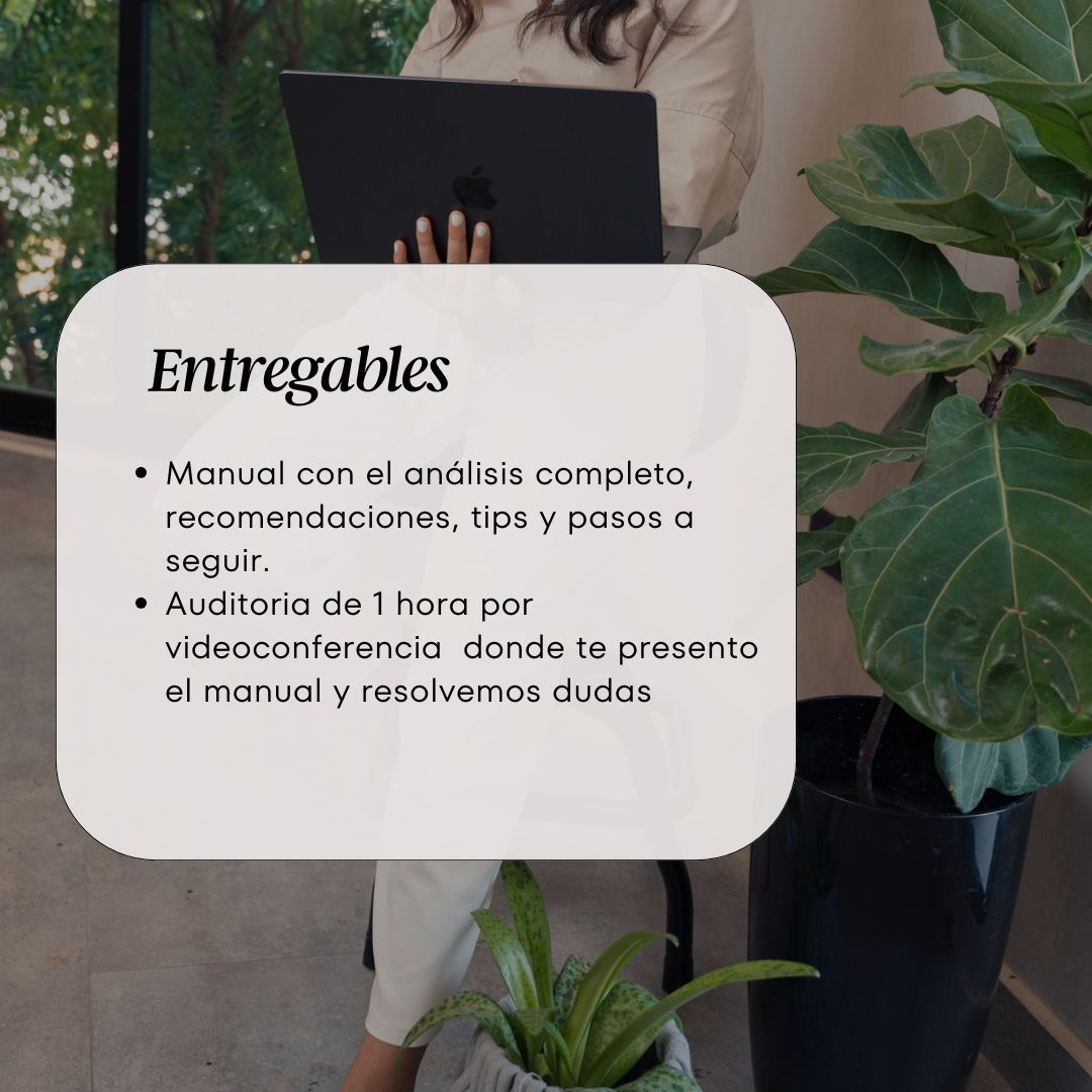 Auditoria de Página Web