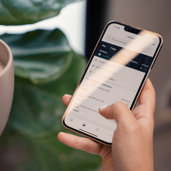 Proceso de trabajo para la creacion de tu Pagina web